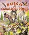 BUSCA LOS CABALLOS Y PONIS