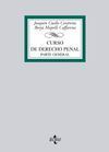 CURSO DE DERECHO PENAL