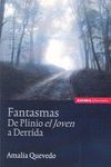 FANTASMAS DE PLINIO EL JOVEN A DERRIDA