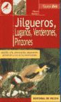 JILGUEROS, LUGANOS, VERDERONES, PINZONES