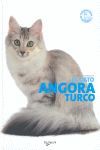 GATO ANGORA TURCO