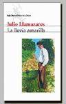 LA LLUVIA AMARILLA