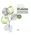 20 PLANTAS SALUDABLES PARA COMBATIR EL ESTRÉS