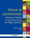 MANUAL DE PSICOSOCIOLOGÍA APLICADA AL TRABAJO Y A LA PREVENCIÓN DE LOS RIESGOS L