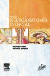 NETTER. NEUROANATOMÍA ESENCIAL