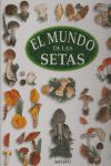EL MUNDO DE LAS SETAS