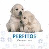 CALENDARIO PERRITOS 2013