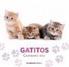 2014 CALENDARIO GATITOS