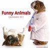 CALENDARIO FUNNY ANIMALS 2017