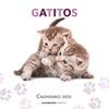 CALENDARIO GATITOS 2020