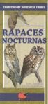 RAPACES NOCTURNAS