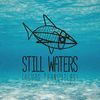 STILL WATERS / AGUAS TRANQUILAS.CATALOGO