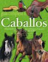 GUÍA COMPLETA DE CABALLOS