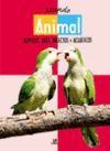 MUNDO ANIMAL. REPTILES, AVES, INSECTOS Y ACUATICOS