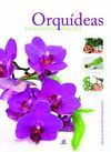 ORQUÍDEAS