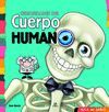 CURIOSIDADES DEL CUERPO HUMANO