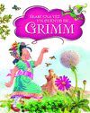 ËRASE UNA VEZ UN CUENTO DE ... GRIMM