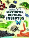 SERPIENTES REPTILES E INSECTOS