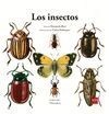 INSECTOS, LOS