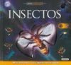 INSECTOS