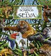 ESCUCHA LOS SONIDOS DE LA SELVA.(SONIDOS NATURALEZA)