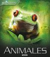 ANIMALES               (NAVEGA