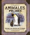 ANIMALES POLARES