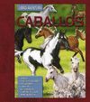 CABALLOS.(LIBRO-AVENTURA)