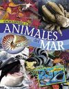 ANIMALES DEL MAR