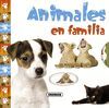 ANIMALES EN FAMILIA