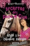 ANGEL Y LOS CABALLOS SALVAJES