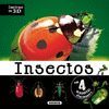 INSECTOS