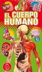 EL CUERPO HUMANO