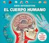 EL CUERPO HUMANO