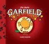 GARFIELD Nº9