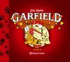 GARFIELD 13