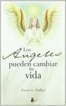 ANGELES PUEDEN CAMBIAR TU VIDA, LOS (N.P.)