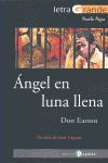 ÁNGEL EN LUNA LLENA