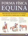 FORMA FISICA EQUINA