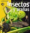 INSECTOS Y ARAÑAS