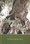 AMOR DE OLIVO