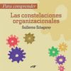 PARA COMPRENDER LAS CONSTELACIONES ORGANIZACIONALE