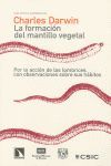 LA FORMACIÓN DEL MANTILLO VEGETAL