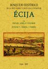 BOSQUEJO HISTORICO DE LA CIUDAD DE ECIJA FORMADO DESDE SUS PRIMITIVOS TIEMPOS