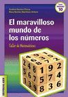 EL MARAVILLOSO MUNDO DE LOS NUMEROS. TALLER DE MATEMATICAS