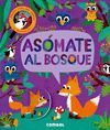 ASOMATE AL BOSQUE