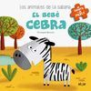 BEBE CEBRA, EL