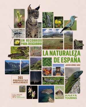 RECORRIDO PARA DESCUBRIR