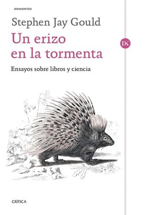 UN ERIZO EN LA TORMENTA