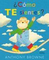 COMO TE SIENTES?.(LIBROS PARA SOÑAR)